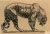 Tigre, 1910. Crayon gras sur papier Japon

Signé, situé et daté Anvers 1910, en bas à gauche. Haut. 36 cm, Larg. 50,5 cm

Musée des Arts Décoratifs de paris, MAD. numéro d'inventaire 16908.

Achat au Salon des artistes décorateurs de 1910
